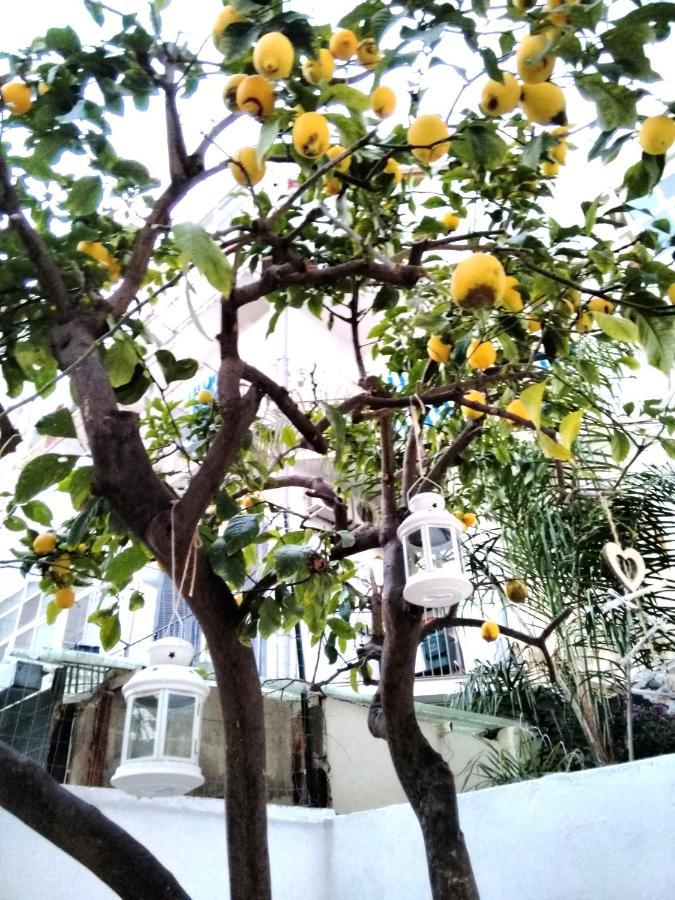 Willkommen In Einem Private Garden Bari Buitenkant foto