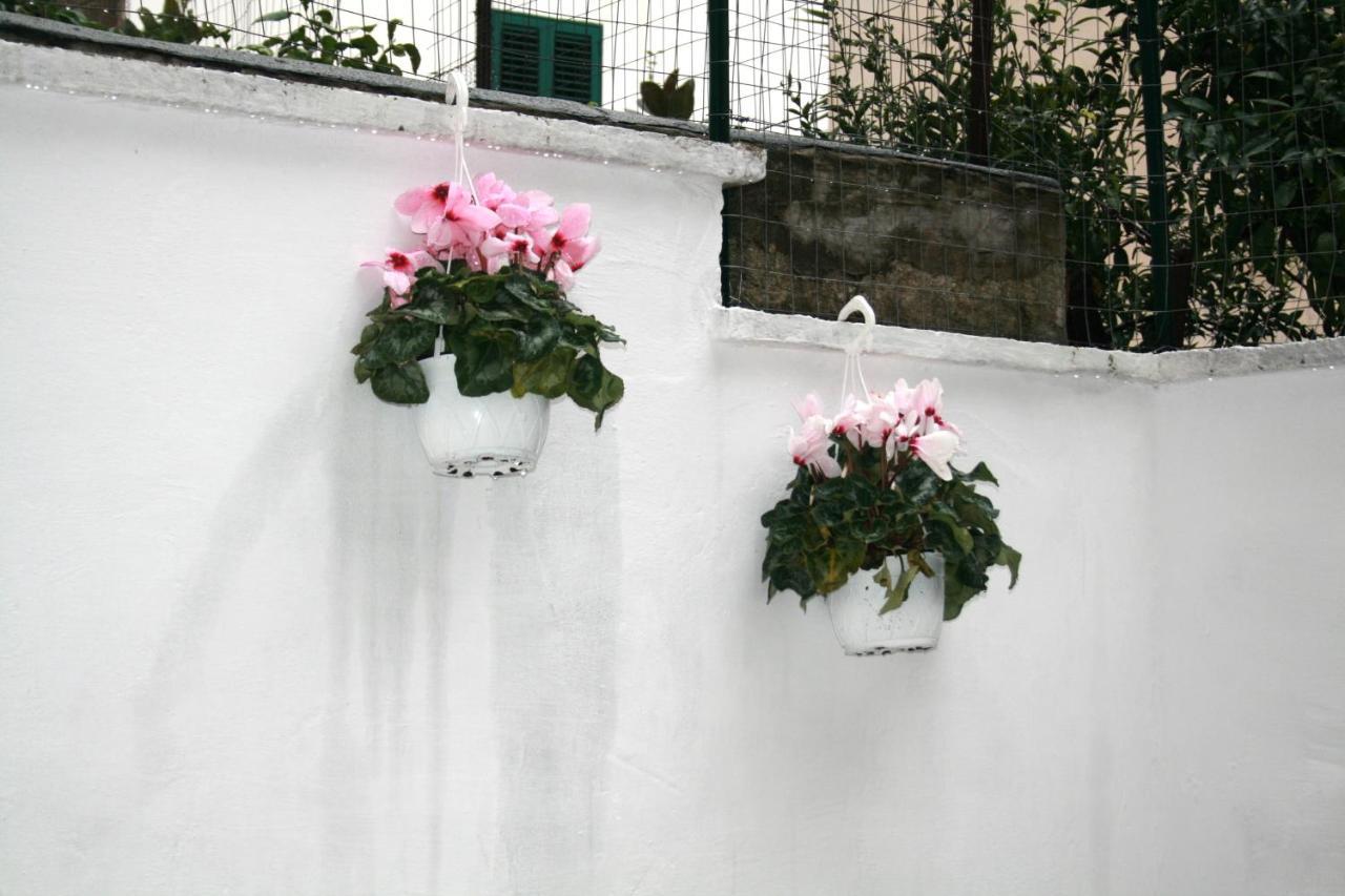 Willkommen In Einem Private Garden Bari Buitenkant foto