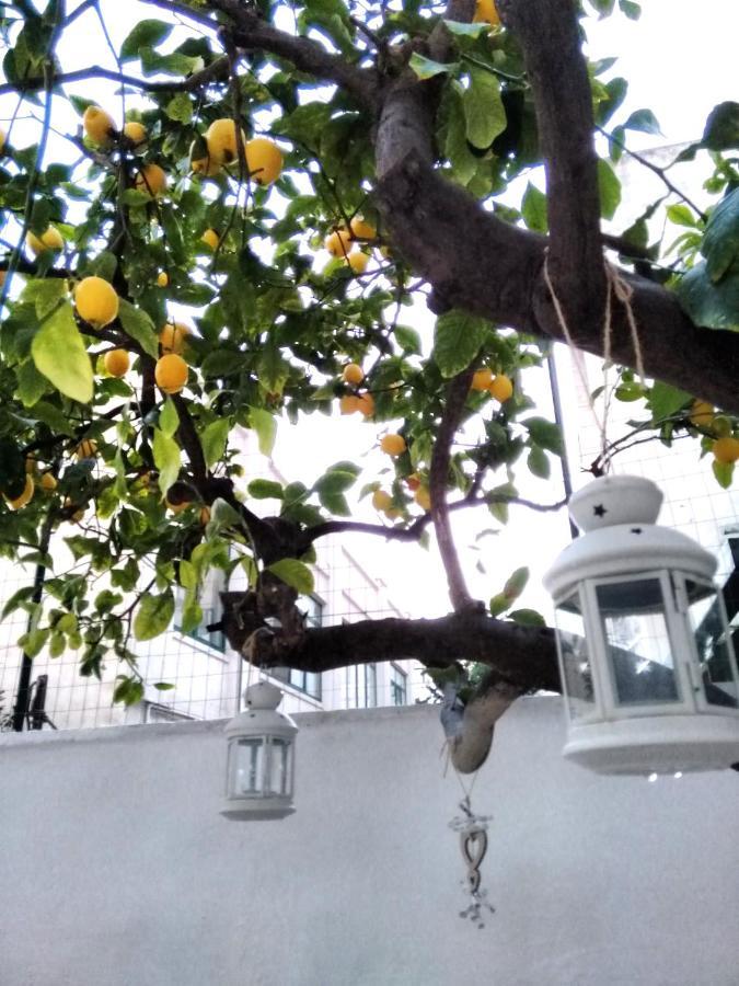 Willkommen In Einem Private Garden Bari Buitenkant foto